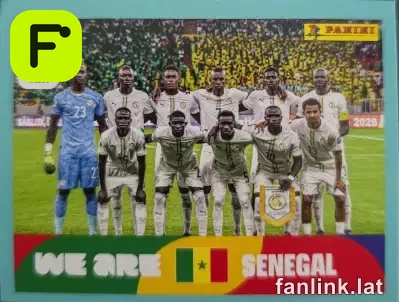 Team Photo #SEN13 — Lámina Panini FIFA World Cup 2026
